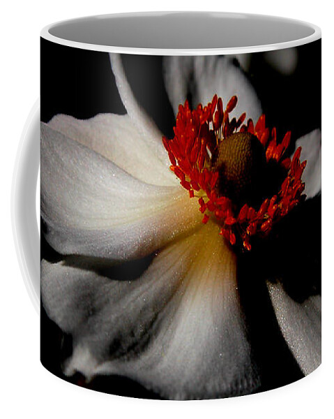 Orphelia Aristal Coffee Mug featuring the photograph White Spring by Orphelia Aristal