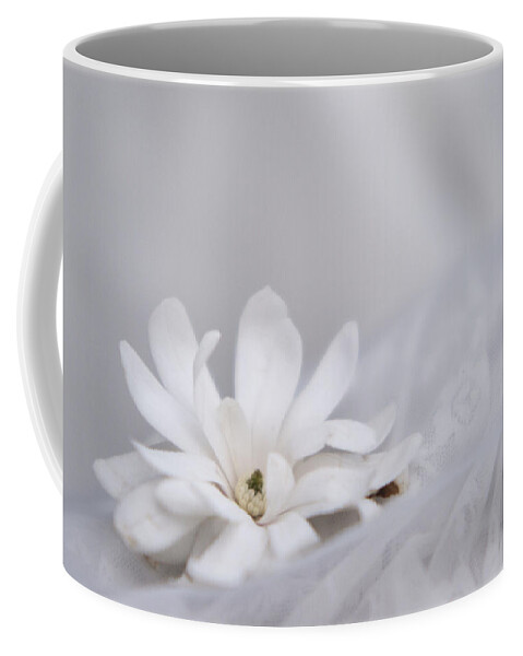 Magnolias Coffee Mug featuring the photograph White by Stephanie Hollingsworth
