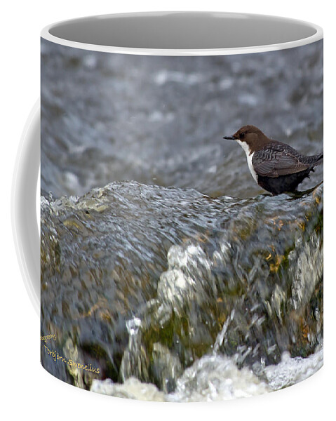 White-throated Dipper Coffee Mug featuring the photograph White-throated Dipper by Torbjorn Swenelius