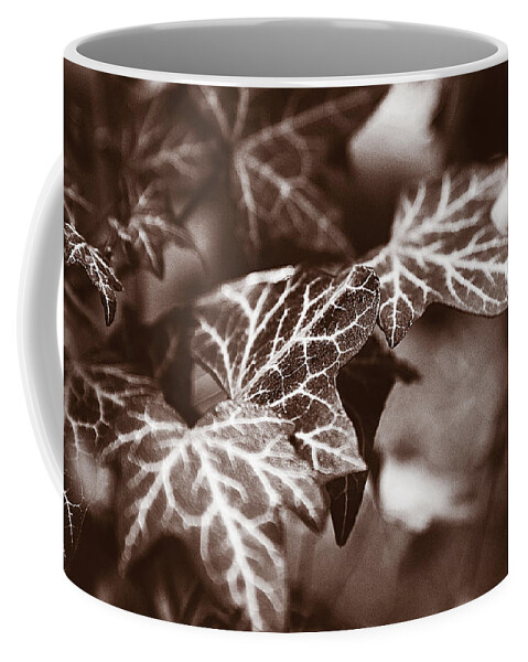 Ivy Photographs Coffee Mug featuring the digital art White Veins by David Davies