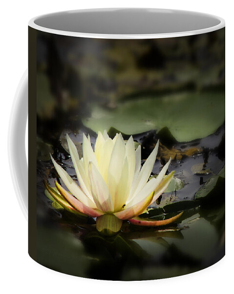 Beautiful White Water Lily Blossom Coffee Mug featuring the photograph White water lily blossom by Peter V Quenter