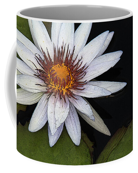 Water Lily Coffee Mug featuring the photograph White Water Lily by Yvonne Wright
