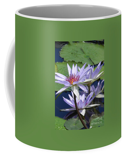 Photography Coffee Mug featuring the photograph White Waterlilies by Chrisann Ellis