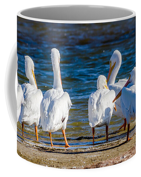 Who Is With Me On This Coffee Mug featuring the photograph Who Is With Me On This? by Debra Martz