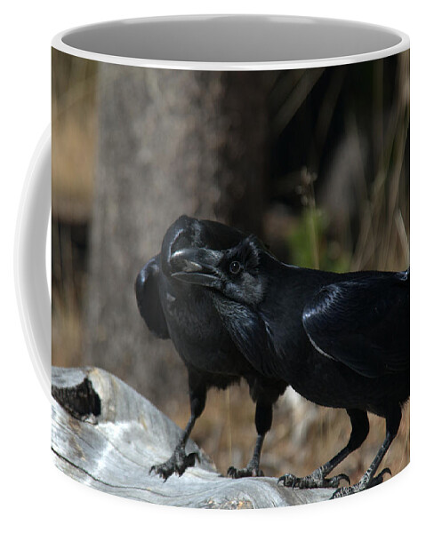 Raven Coffee Mug featuring the photograph Whoa you should see a dentist by Frank Madia