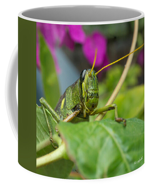 Lubber Grasshopper Coffee Mug featuring the photograph Who's There Squared by TK Goforth