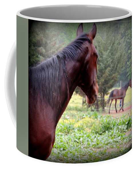 Horses Coffee Mug featuring the photograph Whose That by Rabiah Seminole