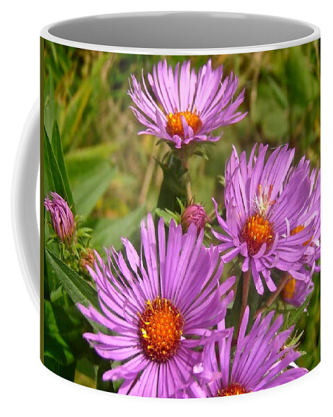 Flowers Coffee Mug featuring the photograph Wild Asters by Stephanie Moore