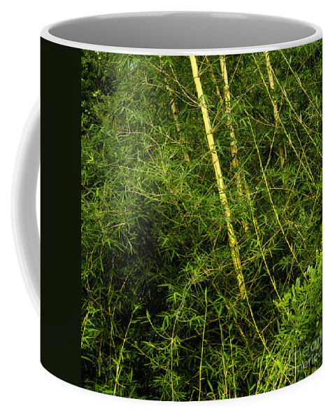 Bamboo Coffee Mug featuring the photograph Wild Bamboo by Gina Koch