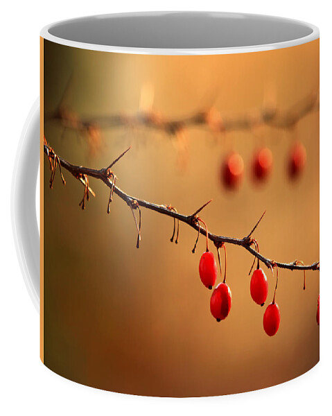 Wild Barberry Coffee Mug featuring the photograph Wild Barberry by Carolyn Derstine