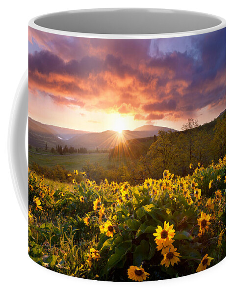 Spring Coffee Mug featuring the photograph Wild Flower Delight by Andrew Kumler