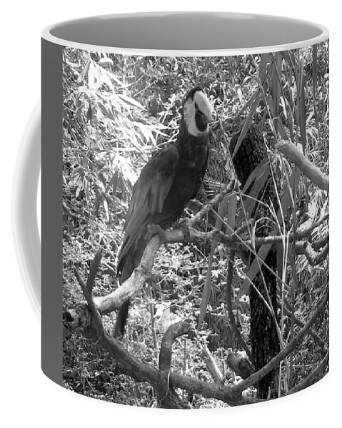 Wild Coffee Mug featuring the photograph Wild Hawaiian Parrot Black and White by Joseph Baril