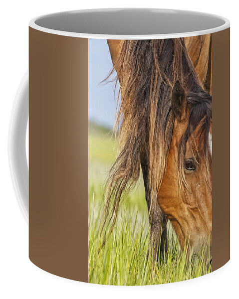 Wild Horse Coffee Mug featuring the photograph Wild Horse Grazing by Bob Decker
