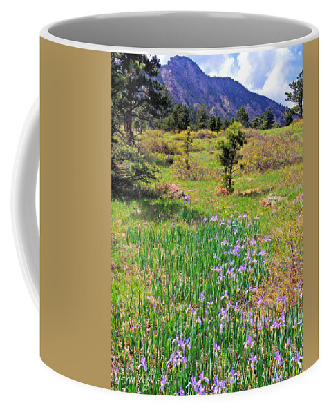 Wild Flowers Irises Mesa Trail Boulder Colorado Flatirons Rockymountains Flowerfields Nature Coffee Mug featuring the photograph Wild irises by George Tuffy