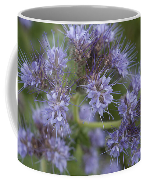 Flower Coffee Mug featuring the photograph Wild Lavender by Miguel Winterpacht