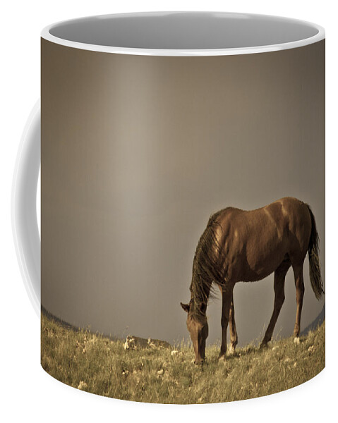 Andalusia Coffee Mug featuring the photograph Wild Mustangs of New Mexico 20 by Catherine Sobredo