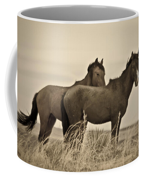 Horses Coffee Mug featuring the photograph Wild Mustangs of New Mexico 3 by Catherine Sobredo