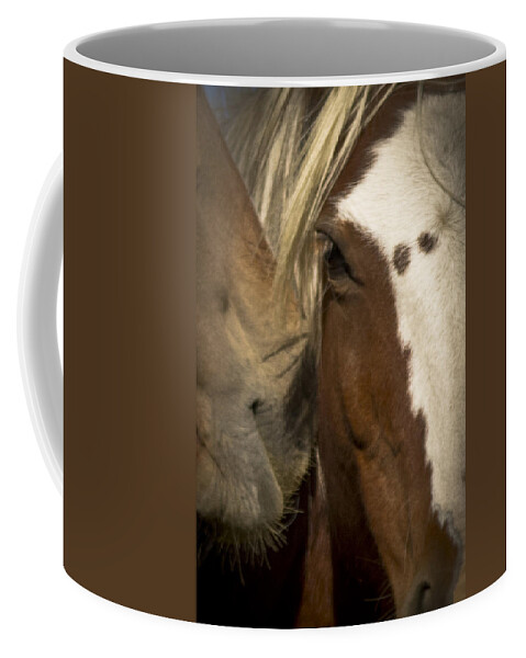 Andalusia Coffee Mug featuring the photograph Wild Mustangs of New Mexico 32 by Catherine Sobredo