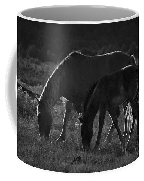 Andalusia Coffee Mug featuring the photograph Wild Mustangs of New Mexico 7 by Catherine Sobredo