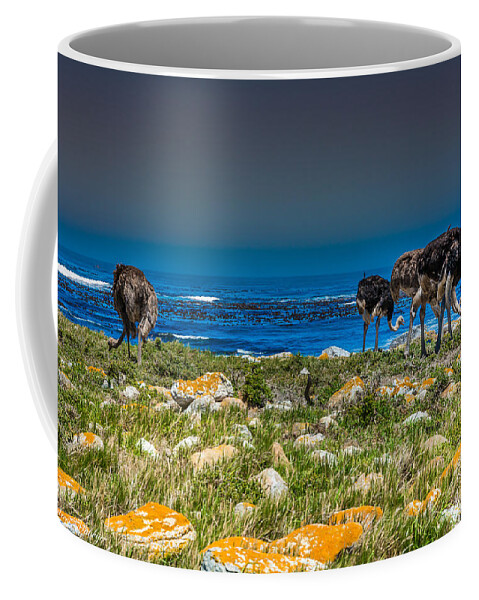 Ostrich Coffee Mug featuring the photograph Wild Ostriches by Andrew Matwijec