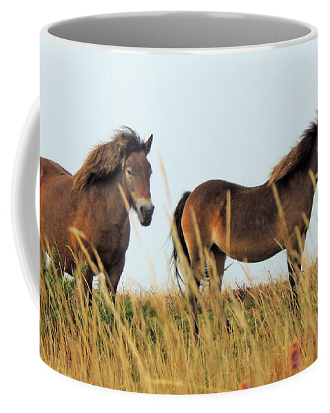 Exmoor Ponies Coffee Mug featuring the photograph Wild Ponies on Exmoor by Jayne Wilson