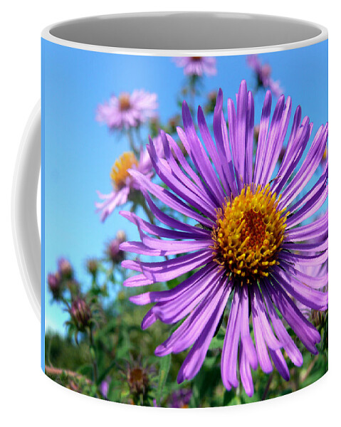 Wildflower Coffee Mug featuring the photograph Purple Aster Wildflower by Christina Rollo
