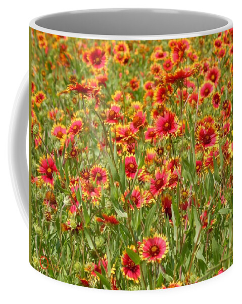 Wild Flower Coffee Mug featuring the photograph Wild Red Daisies #1 by Robert ONeil