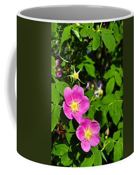 Rose Coffee Mug featuring the photograph Wild Roses by Cathy Mahnke