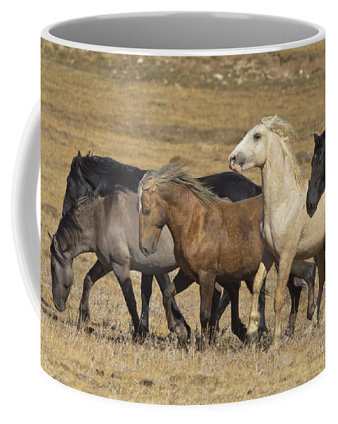 00537206 Coffee Mug featuring the photograph Wild Stallion Herd Pryor Mountain by Yva Momatiuk and John Eastcott
