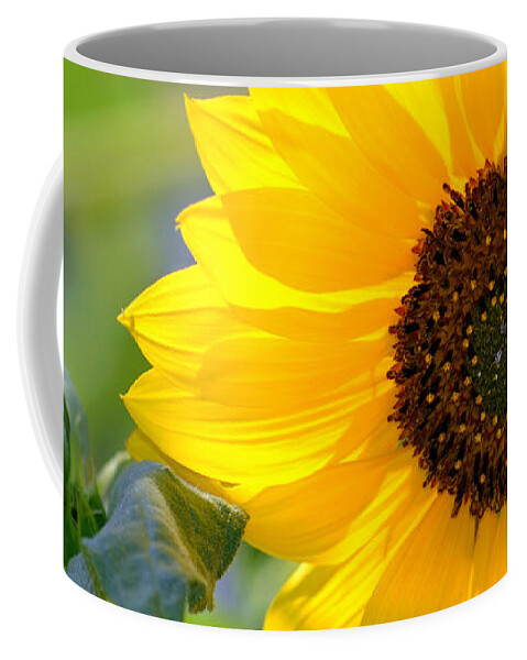 Sunflower Coffee Mug featuring the photograph Wild Sunflower by Nadalyn Larsen