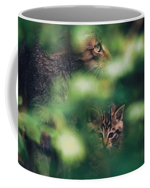 Alert Coffee Mug featuring the photograph Wildcat with kitten by Ulrich Kunst And Bettina Scheidulin