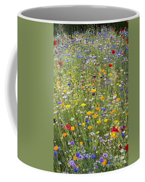 Wildflowers Coffee Mug featuring the photograph Wildflower Mix by Tim Gainey