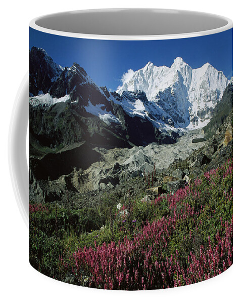 Feb0514 Coffee Mug featuring the photograph Wildflowers And Kangshung Glacier by Colin Monteath