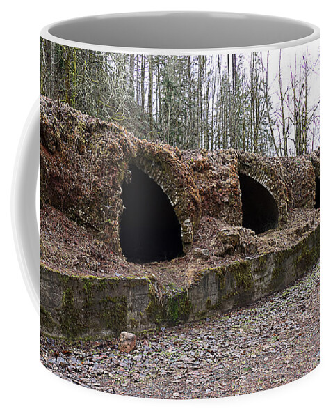 Ovens Coffee Mug featuring the photograph Wilkeson coke Ovens by Ron Roberts