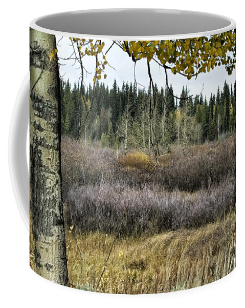 Willow Flats Coffee Mug featuring the photograph Willows Flat on an Autumn Day No. 2 - Grand Tetons by Belinda Greb