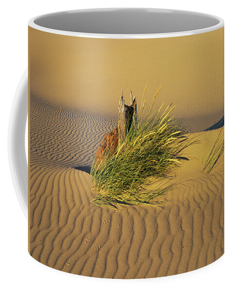Coast Coffee Mug featuring the photograph Wind Makes Ripples In The Sand by Robert L. Potts