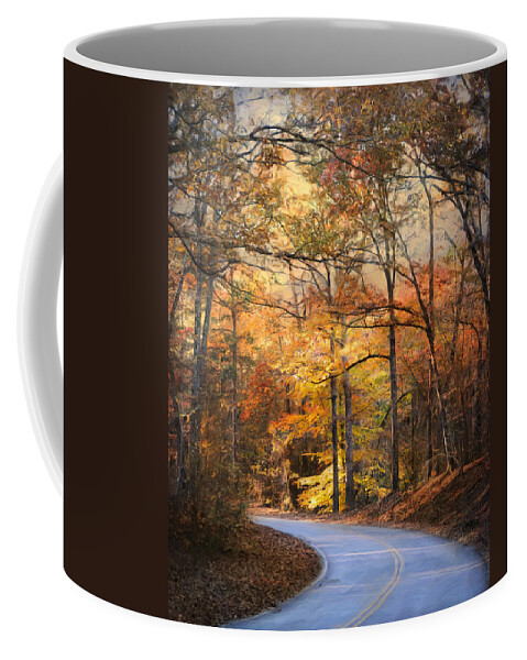 Autumn Coffee Mug featuring the photograph Winding Fall Parkway by Jai Johnson