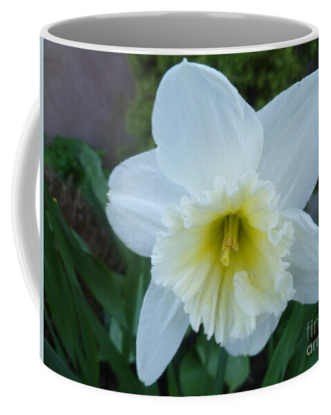 Floral Beauty Coffee Mug featuring the photograph Wings Of An Angel by Lingfai Leung