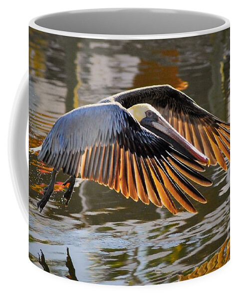 Pelican Coffee Mug featuring the photograph Wings Of Gold by Quinn Sedam