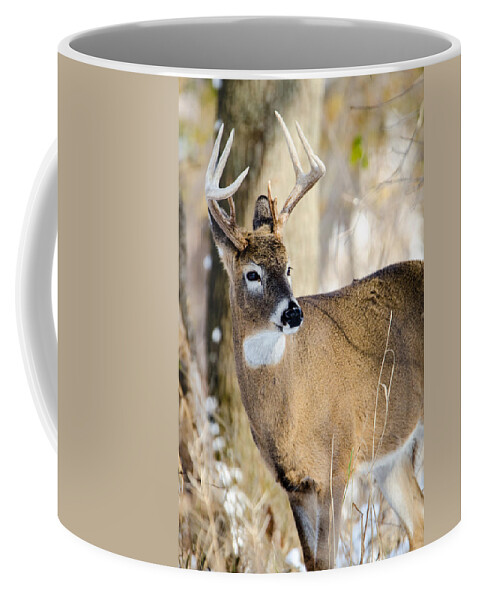 Deer Coffee Mug featuring the photograph Winter Buck by Steven Santamour