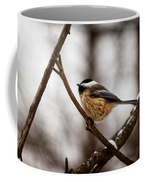 Bird Coffee Mug featuring the photograph Winter Chickadee by Lars Lentz