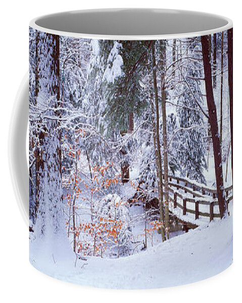 Photography Coffee Mug featuring the photograph Winter Footbridge Cleveland Metro by Panoramic Images