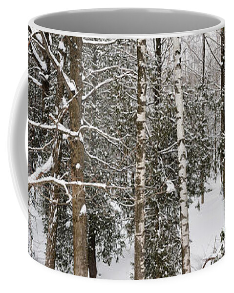 Forest Coffee Mug featuring the photograph Winter forest landscape panorama by Elena Elisseeva