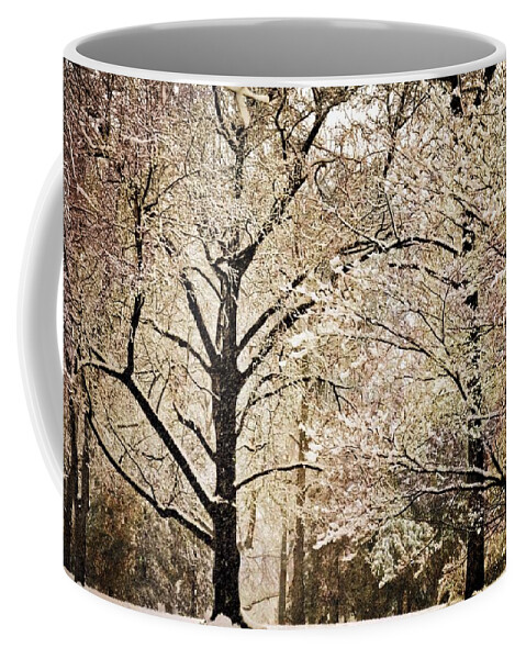 Landscape Coffee Mug featuring the photograph Winter In St. Louis by Marty Koch