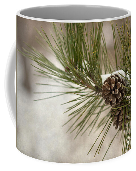 Pine Coffee Mug featuring the photograph Winter Interlude by Evelina Kremsdorf
