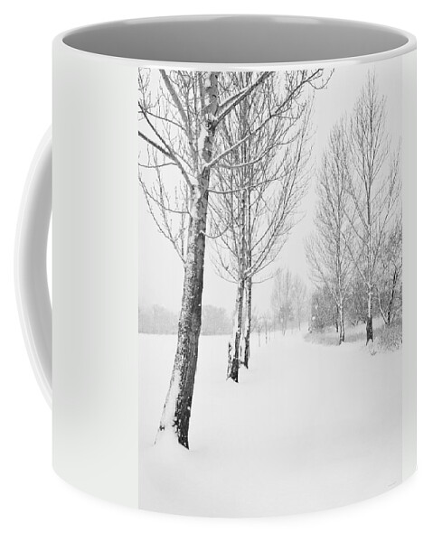 Landscape Coffee Mug featuring the photograph Winter Path by Theresa Tahara