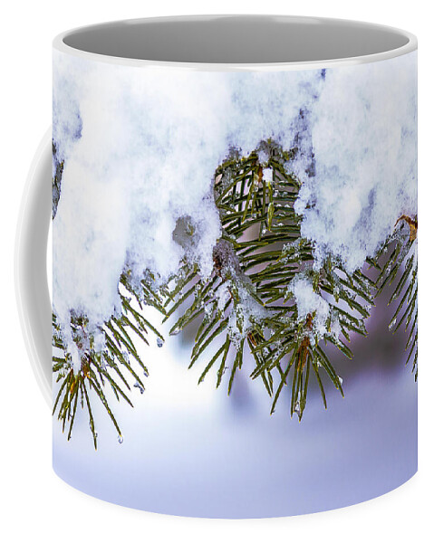 Pine Tree Coffee Mug featuring the pyrography Winter Pine by Rick Bartrand