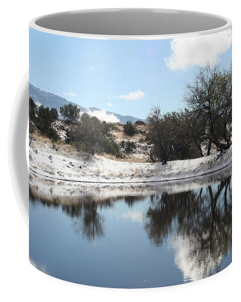 Snow Coffee Mug featuring the photograph Winter Reflections by David S Reynolds