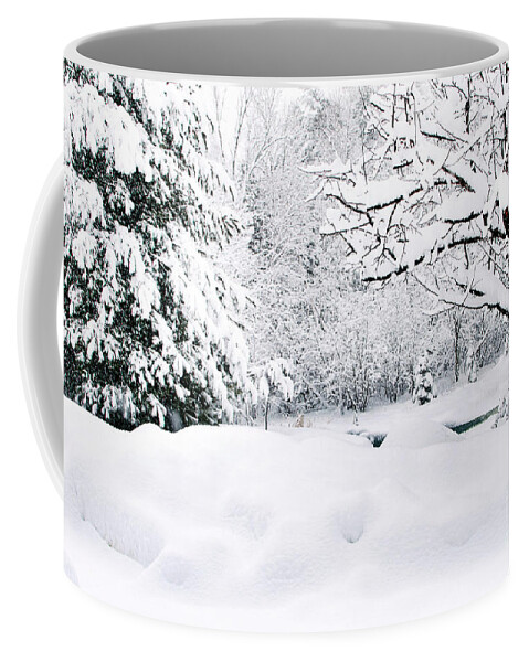 Winter Coffee Mug featuring the photograph Winter Scene by Gwen Gibson