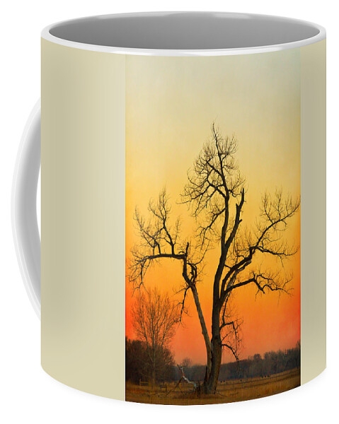 Tree Coffee Mug featuring the photograph Winter Season Sunset Tree by James BO Insogna